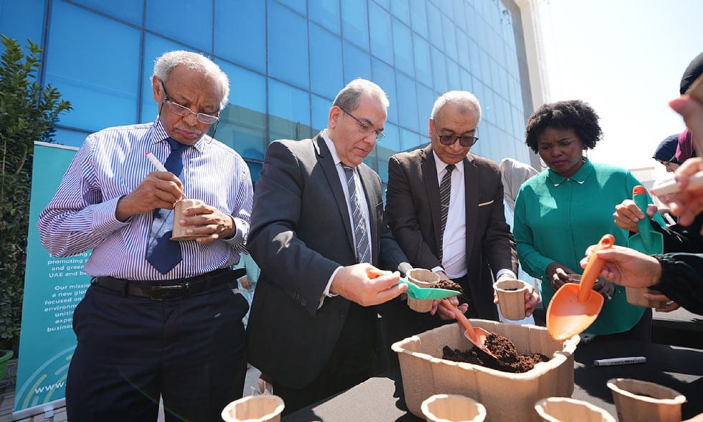 DMU staff potting seedlings at the sustainability launch